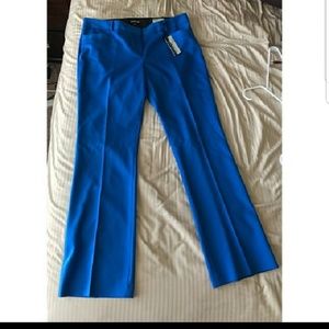 NWT Express Columnist Pants